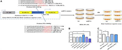 miR-3940-5p reduces amyloid β production via selectively targeting PSEN1